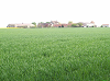 Cliquez ici pour voir l'image (cm3_2008_009.jpg)