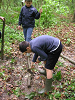 Cliquez ici pour voir l'image (cm3_2008_177.jpg)